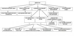 структура и органы управления